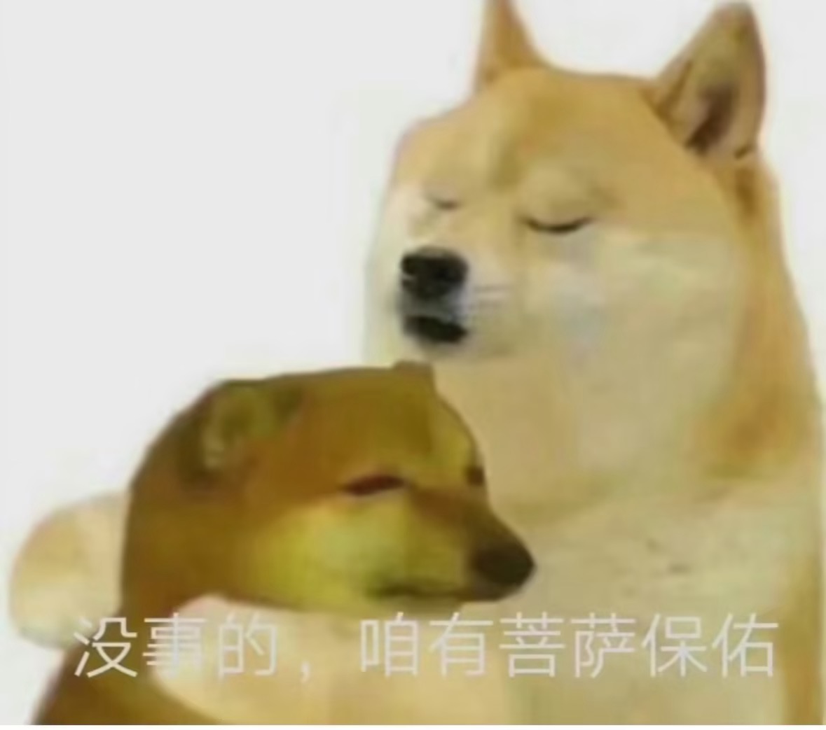 jw测试1